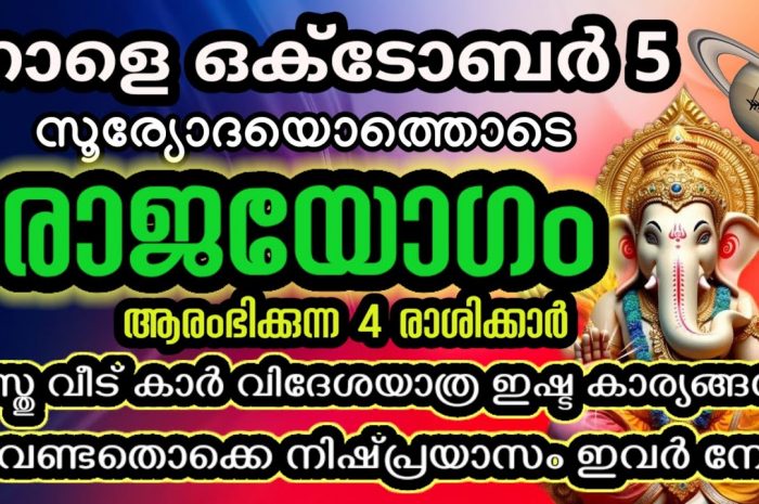 ഈ നക്ഷത്ര ജാഥകർക്ക് ഇനി ശുക്രൻ തന്നെയാണ്. ജീവിതം ഇനി മനോഹരമാകാൻ പോകുന്നു.