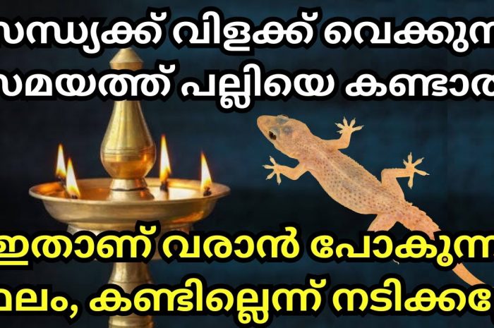 നിങ്ങളുടെ വീടുകളിൽ വിളക്ക് കത്തിക്കുന്ന സമയത്ത് പല്ലി ഇതേ പോലെയുള്ള സൂചനകൾ നൽകുന്നുണ്ടോ