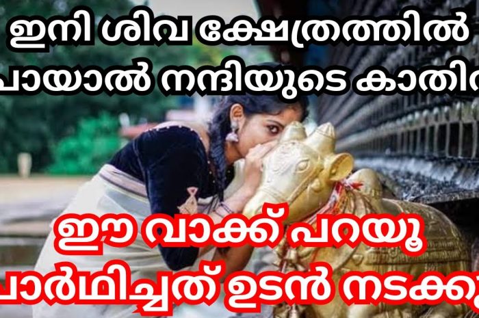 നിങ്ങളുടെ ആഗ്രഹങ്ങൾ പെട്ടെന്ന് നടന്നു കിട്ടാൻ ഇങ്ങനെ ഒന്ന് ചെയ്തു നോക്കൂ