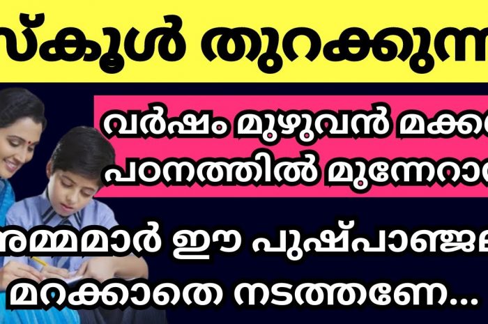 സ്കൂൾ തുറക്കുന്നതിനു മുൻപ് കുട്ടികൾക്കായി മാതാപിതാക്കൾ ചെയ്യേണ്ടത് ഈ കാര്യങ്ങൾ…