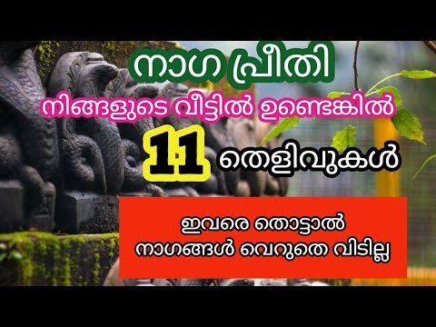 നാഗ പ്രീതിയുള്ള  വീടുകളിൽ കണ്ടുവരുന്ന ലക്ഷണങ്ങൾ ഇവയെല്ലാം…