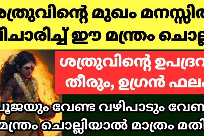 ശത്രു ദോഷം മാറിക്കിട്ടാൻ ഇത്തരത്തിൽ ചെയ്യാൻ മറക്കല്ലേ…