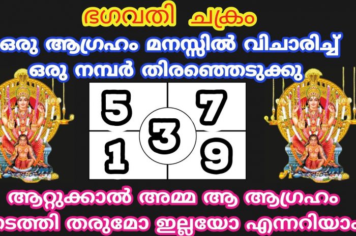 ആറ്റുകാലമ്മയുടെ അനുഗ്രഹത്താൽ നിങ്ങളുടെ ജീവിതത്തിൽ നടക്കാൻ പോകുന്നത് ഇവയെല്ലാം…