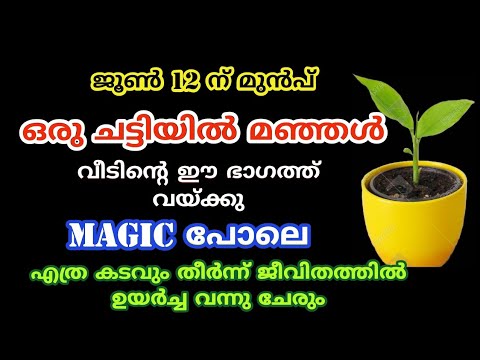 നിങ്ങളുടെ വീടുകളിൽ മഞ്ഞൾ ഇത്തരത്തിൽ ഒന്ന് നട്ടുനോക്കൂ. ഭാഗ്യം നിങ്ങളെ തേടിയെത്തും…