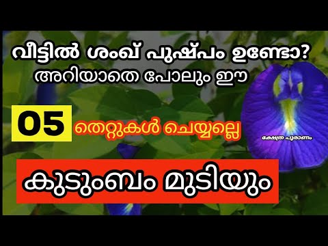 നിങ്ങളുടെ വീട്ടിലുള്ള ശങ്കുപുഷ്പത്തോട് ഒരിക്കലും ഇത്തരത്തിൽ ചെയ്യല്ലേ…