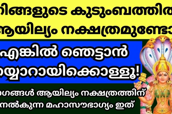 നിങ്ങളുടെ വീട്ടിൽ ആയില്യം നക്ഷത്ര ജാതകർ ഉണ്ട് എങ്കിൽ ഉറപ്പായും ഇത് കാണണേ…