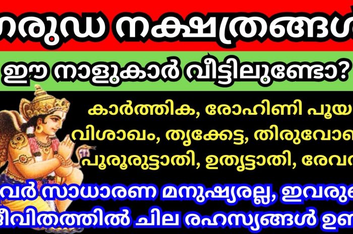 നിങ്ങൾ ഗരുഡ നക്ഷത്ര ജാതകരാണ് എന്നറിയാൻ തീർച്ചയായും ഇത് കാണുക…