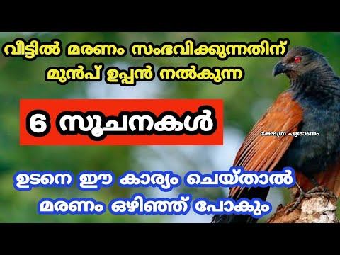 നിങ്ങളുടെ വീട്ടിൽ കാക്ക ഇത്തരം ലക്ഷണങ്ങൾ കാണിക്കുന്നുണ്ട് എങ്കിൽ മരണ ദുഃഖ ഫലം…