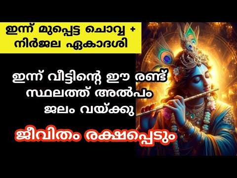 നിർജല ഏകാദശി വ്രതം അനുഷ്ഠിക്കേണ്ടത് ഇങ്ങനെയെല്ലാം. ഇത് നിങ്ങൾ അറിയാതെ പോകല്ലേ…