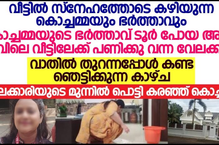 ഫ്ലാറ്റിലെ ജീവിതത്തിൽ മതിമറന്നു പോയ വീട്ടുജോലിക്കാരിക്ക് കിട്ടിയ പണി കണ്ടോ…