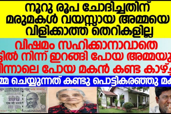 ഈയൊരു 100 രൂപയ്ക്ക് വേണ്ടി ആ അമ്മ ആരുടെ മുൻപിൽ വേണമെങ്കിലും കൈകൾ നീട്ടും…