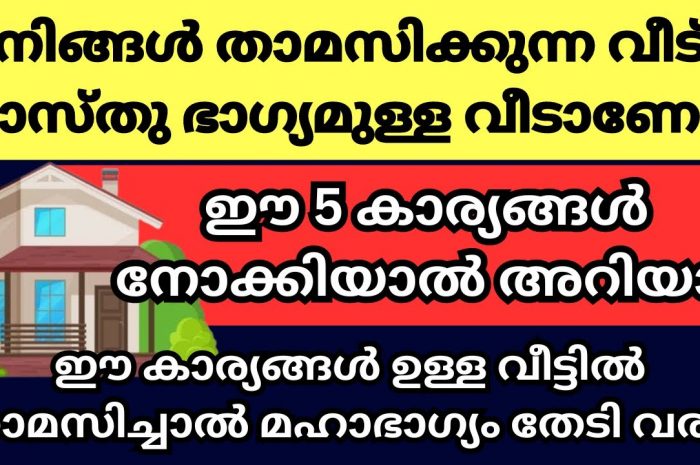 നിങ്ങൾ വാസ്തു ദോഷങ്ങൾ അനുഭവിക്കുന്നവരാണ് എങ്കിൽ ഇത് കാണാതിരിക്കരുത്…