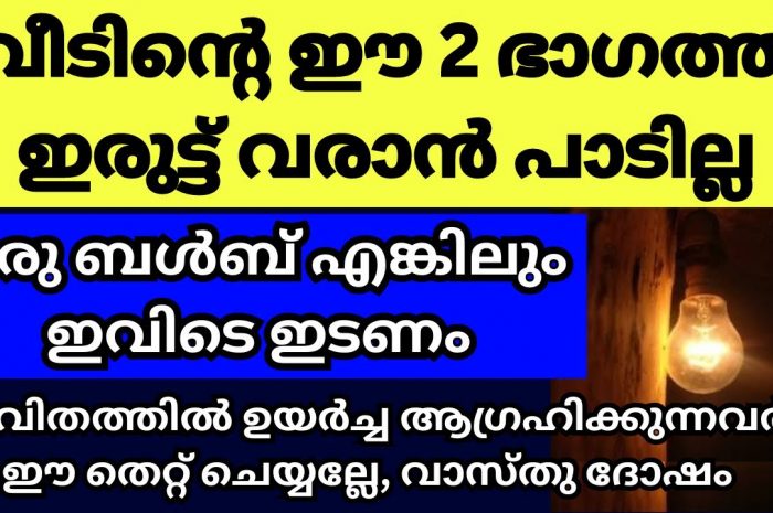 നിങ്ങളുടെ വീടിന്റെ ഈ മൂലയിൽ ഒരു ബൾബ് കത്തിച്ചു നോക്കൂ. ഭാഗ്യം നിങ്ങളെ തേടിയെത്തും…