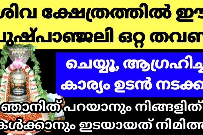 നിങ്ങളുടെ നിരവധിയായ ആഗ്രഹങ്ങൾ നടക്കണമെന്നുണ്ടെങ്കിൽ ഈ വഴിപാട് ചെയ്യുക…