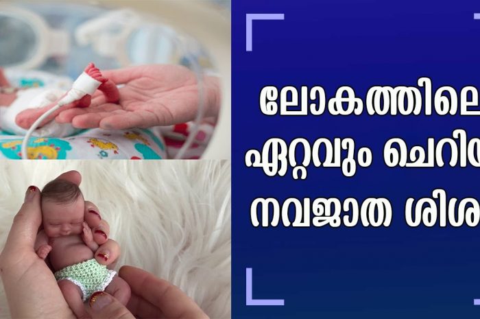 ലോകത്തിൽ അമ്മയെക്കാൾ വലിയ പോരാളിയില്ല എന്ന് തെളിയിച്ച ഒരു അമ്മ…