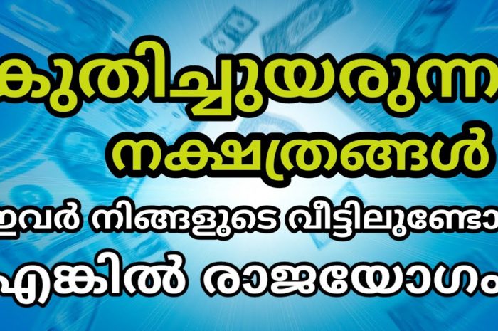 ഈ ഏഴ് നക്ഷത്ര ജാതകർക്ക് ഇനി രാജയോഗം തന്നെ. നിങ്ങൾ ഇതിൽ ഉണ്ടോ എന്നറിയാൻ കാണുക…