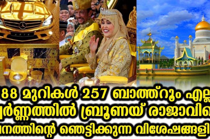 സ്വർണ്ണ അലംകൃതമായ ഈ കൊട്ടാരം എവിടെ എന്നറിയാൻ ഇത് കാണുക…