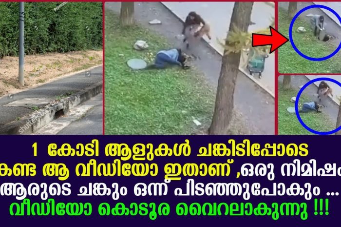 ഈ അമ്മയുടെ ധൈര്യം അപാരം തന്നെ. നിങ്ങൾ ഇത് കാണാതെ പോകരുത്…