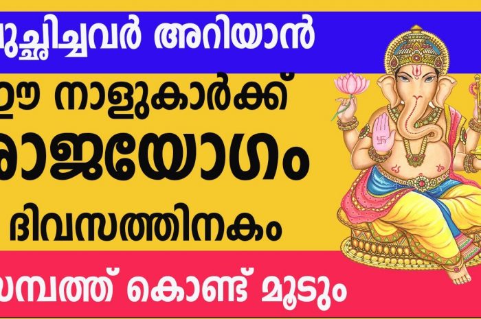 രാജയോഗം വന്നുചേരാൻ പോകുന്ന നക്ഷത്ര ജാതകർ ആരെല്ലാം എന്നറിയാൻ ഇത് കാണുക…