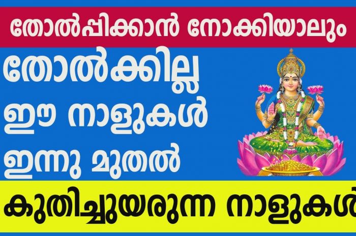 നേട്ടങ്ങൾ കൈവരിക്കാൻ പോകുന്ന നക്ഷത്ര ജാതകർ ആരെല്ലാം എന്നറിയാൻ ഇത് കാണുക…