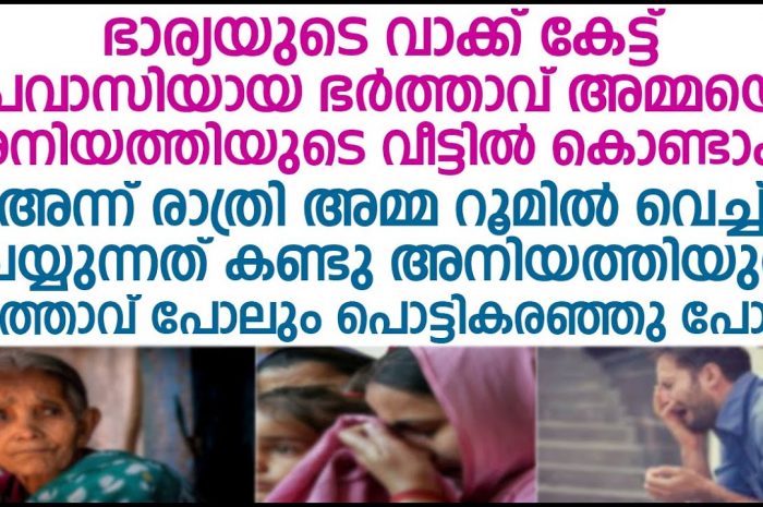 പെറ്റമ്മയെ തള്ളിപ്പറഞ്ഞ പ്രവാസിക്ക് കിട്ടിയ എട്ടിന്റെ  പണി കണ്ടോ…