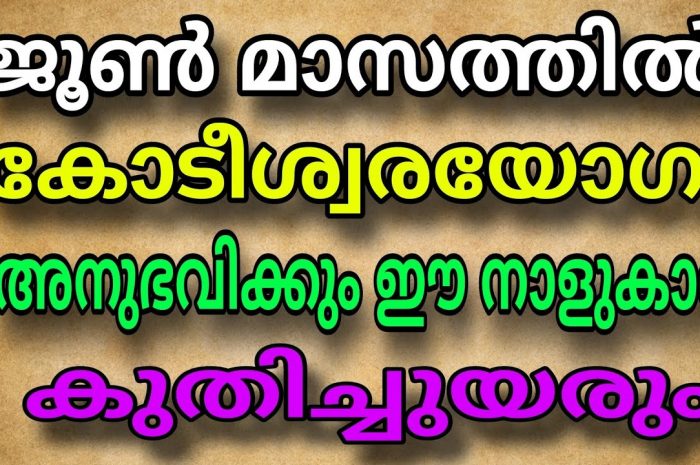 ഈ മാസത്തിൽ ഉയരങ്ങൾ കീഴടക്കാൻ പോകുന്ന നക്ഷത്ര ജാതകർ ആരെല്ലാം എന്നറിയാൻ ഇതു കാണുക…