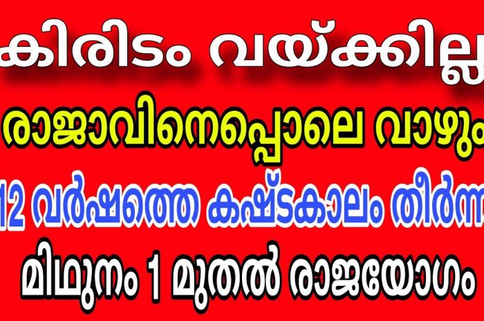 നിങ്ങൾക്കും കിരീടം വയ്ക്കാത്ത രാജാവാകണോ? എങ്കിൽ ഇത് കാണുക…