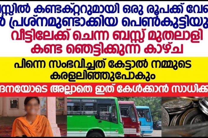 ഒരു വാശിക്കാരിയെ കല്യാണം കഴിക്കാൻ ഉറച്ച യുവാവ്. ഇത് നിങ്ങൾ കാണാതെ പോകരുത്…