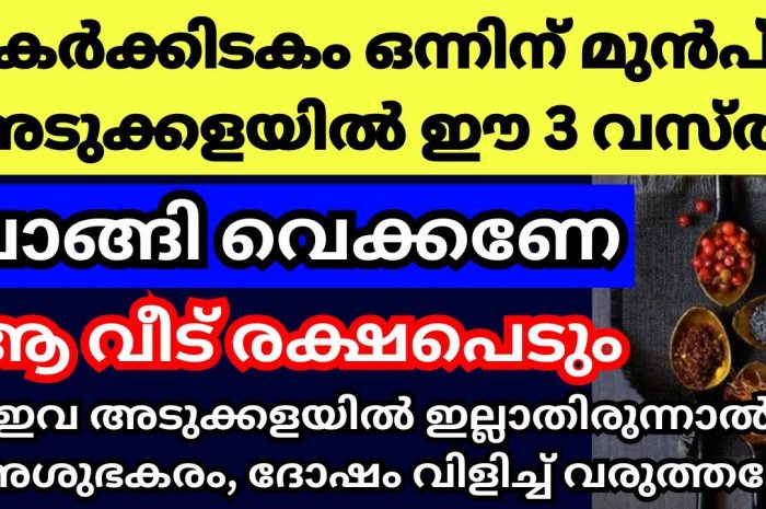 കർക്കിടക മാസത്തിൽ ഈ വസ്തുക്കൾ നിങ്ങളുടെ വീട്ടിൽ കുറഞ്ഞു പോകാതിരിക്കാൻ സൂക്ഷിക്കണം…