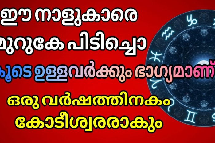 കർക്കിടകമാസത്തിൽ കോടീശ്വരയോഗം വരാൻ പോകുന്ന 13 നക്ഷത്ര ജാതകർ ഇവരെല്ലാം…