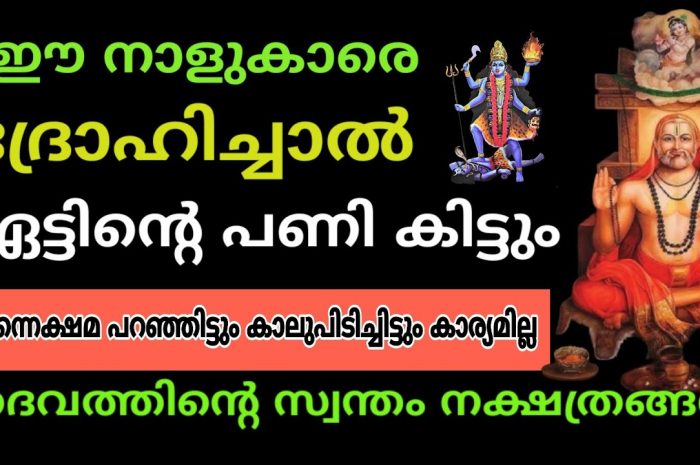 നിങ്ങളുടെ വീടുകളിൽ ഈ നക്ഷത്ര ജാതകരുണ്ട് എങ്കിൽ ഒരിക്കലും അവരെ ദ്രോഹിക്കല്ലേ…