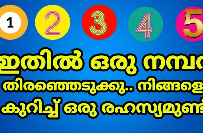 ഈ അഞ്ചെണ്ണത്തിൽ ഒരെണ്ണം നിങ്ങളുടെ ഭാവി പറയും. ഇത് നിങ്ങൾ ഉറപ്പായും കാണണം…