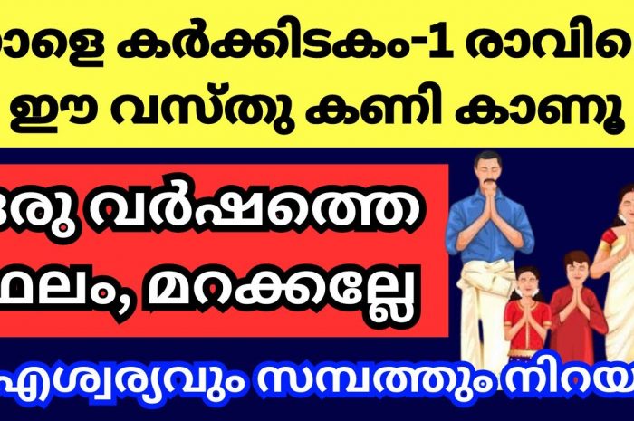 ഒന്നാം തീയതി ഇത്തരത്തിൽ ഒന്ന് കണി കണ്ടു നോക്കൂ ഭാഗ്യം നിങ്ങളെ തേടിയെത്തും…