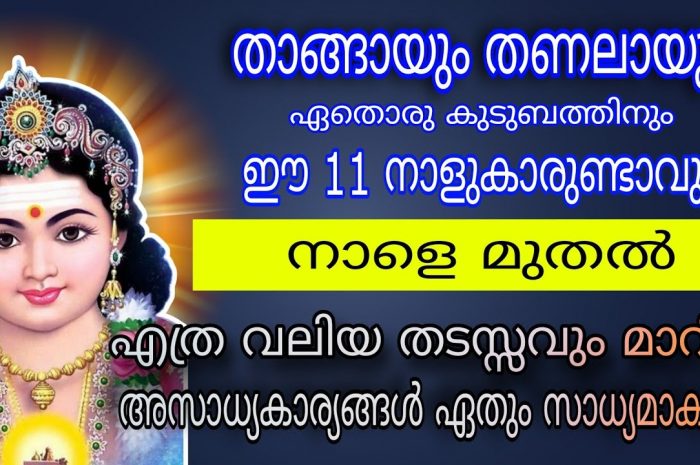 ഇനി നല്ലകാലം വന്നുചേരാനായി പോകുന്ന നക്ഷത്ര ജാതകർ ഇവരെല്ലാം…