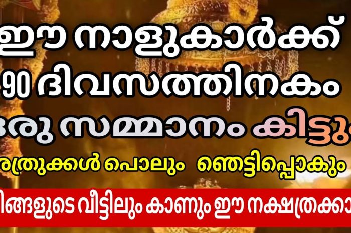 ഭാഗ്യത്തിന്റെ ദിനങ്ങളിലൂടെ കടന്നുപോകുന്ന നക്ഷത്ര ജാതകർ ഇവരെല്ലാം…