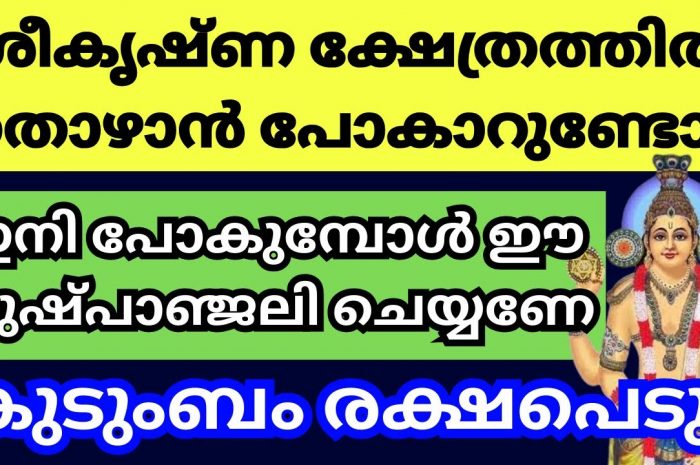 നിങ്ങൾ ഒരു കൃഷ്ണഭക്തനാണ് എങ്കിൽ ഇത്തരത്തിൽ തീർച്ചയായും ഒന്നു ചെയ്തു നോക്കൂ..