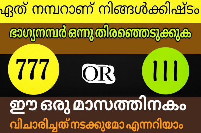 നിങ്ങളുടെ ഭാഗ്യം പറഞ്ഞറിയിക്കാൻ പോകുന്ന നമ്പറുകൾ ഇതിൽ ഏതെന്ന് നിങ്ങൾ തന്നെ കണ്ടെത്തു…