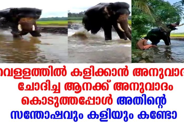 ഇതുപോലുള്ള ഇണപിരിയാത്ത കൂട്ടുകാരെ നിങ്ങൾ ഒരിക്കലും കണ്ടിട്ടുണ്ടായിരിക്കുകയില്ല…