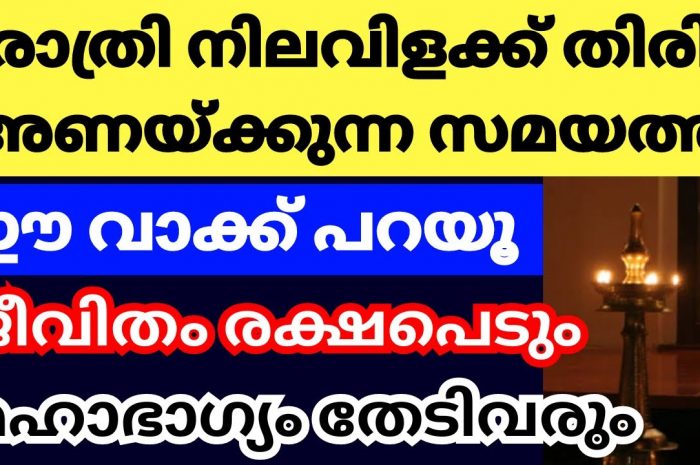 നിങ്ങൾ വിളക്ക് അണയ്ക്കുന്നത് ഈ രീതിയിലാണോ എന്നൊന്നു നോക്കൂ ഭാഗ്യം നിങ്ങളെ ഉറപ്പായും തേടിയെത്തും…